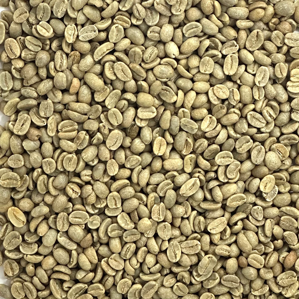 Top-down close-up view of unroasted green coffee beans